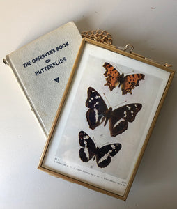 NEW - Framed 1920's Butterfly Bookplate, Peacock