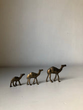 Load image into Gallery viewer, Set of Vintage Brass camels