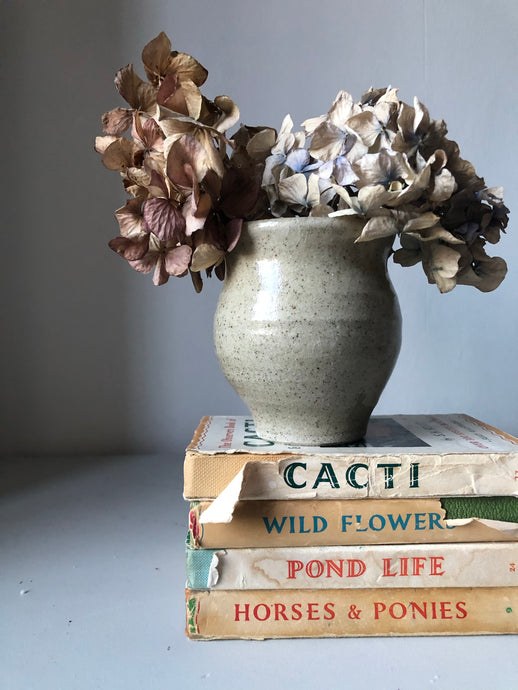 Vintage Earthenware Pot