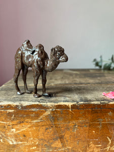 Pair of Antique Lead Camels