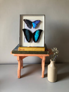 NEW - Blue Vintage Framed Butterflies