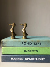 Load image into Gallery viewer, Pair of Small Vintage Brass Ducks