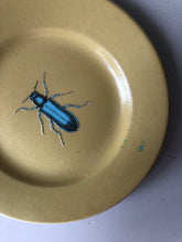 Load image into Gallery viewer, Vintage Bug Plate