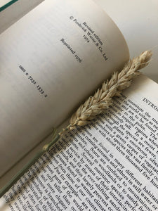 NEW - Observer Book of Grasses, Sedges, & Rushes