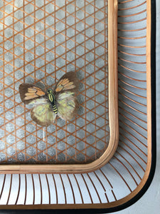 Vintage Butterfly Bamboo Tray