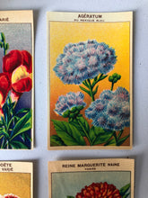 Load image into Gallery viewer, Set of Four Original French Flower Seed Labels, Snapdragon