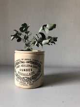 Load image into Gallery viewer, Large James Keiller &amp; Sons Marmalade Jar