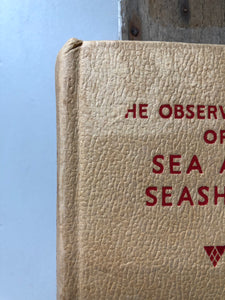 Vintage Observer Book of Sea and Seashore