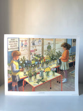 Load image into Gallery viewer, Original 1950s School Poster, ‘Nature Display&#39;