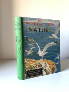 Vintage ‘The Wonder Book of Nature’