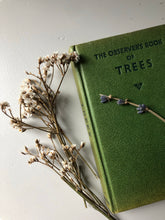 Load image into Gallery viewer, Observer Book of Trees