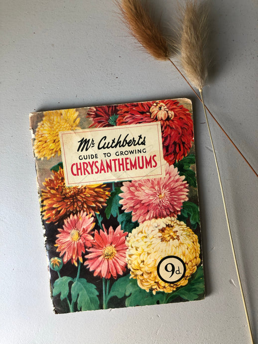 1950s Gardening booklet, Chrysanthemums