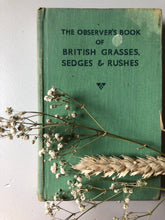 Load image into Gallery viewer, Pair of Vintage Observer Books, Wild Flowers and British Grasses