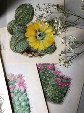 Load image into Gallery viewer, 1950s Botanical Succulent Print with Flower