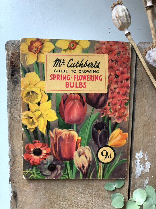 1950s Gardening booklet, Spring Flowering Bulbs