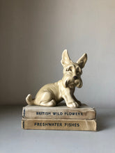 Load image into Gallery viewer, Vintage Sylvac Scottie Dog