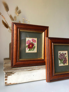 Pair of Vintage Floral Embroidery, framed