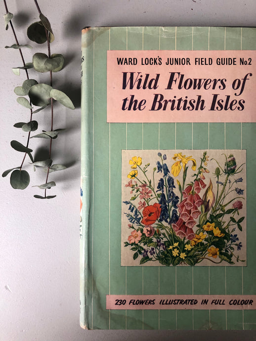 1960s Wild Flowers Book