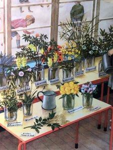 Original 1950s School Poster, ‘Nature Display'