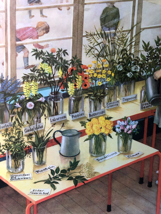 Original 1950s School Poster, ‘Nature Display'