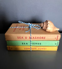 Load image into Gallery viewer, Trio of Observer Books, Sea Fishes, Seashore, and Funghi