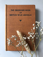 Load image into Gallery viewer, Observer Book of British Wild Animals