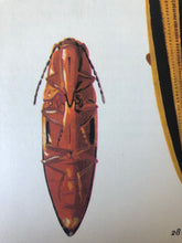 Load image into Gallery viewer, 1960s Beetle Print, Click Beetle
