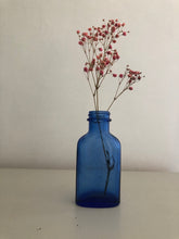 Load image into Gallery viewer, Vintage Milk of Magnesia Bottle