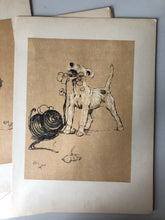 Load image into Gallery viewer, Original Cecil Aldin Dog Bookplate, Flowers