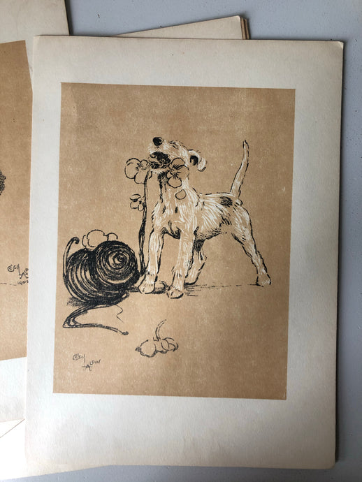 Original Cecil Aldin Dog Bookplate, Flowers