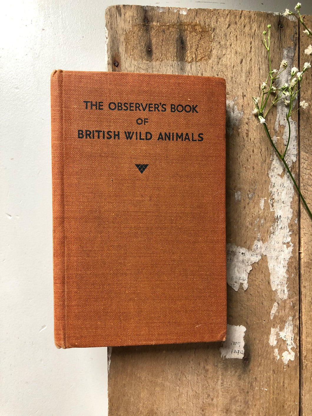 Vintage Observer book of British Wild Animals