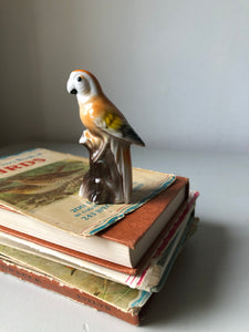 Small Vintage porcelain Parrot