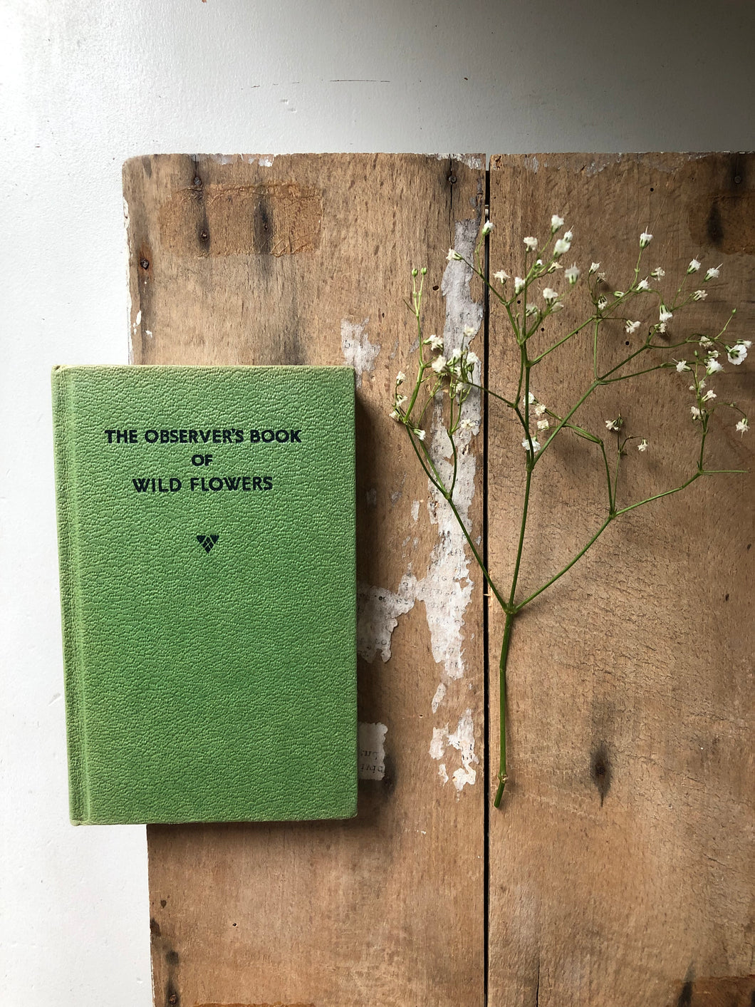Vintage Observer book of Wild Flowers