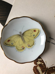 Small vintage Butterfly Dish