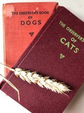Load image into Gallery viewer, Pair of Observer books, Dogs and Cats
