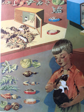 Load image into Gallery viewer, Original 1950s School Poster, ‘Pets at School&#39;