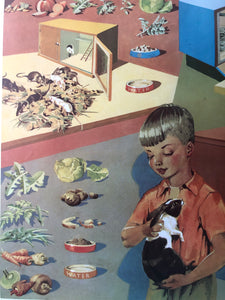 Original 1950s School Poster, ‘Pets at School'