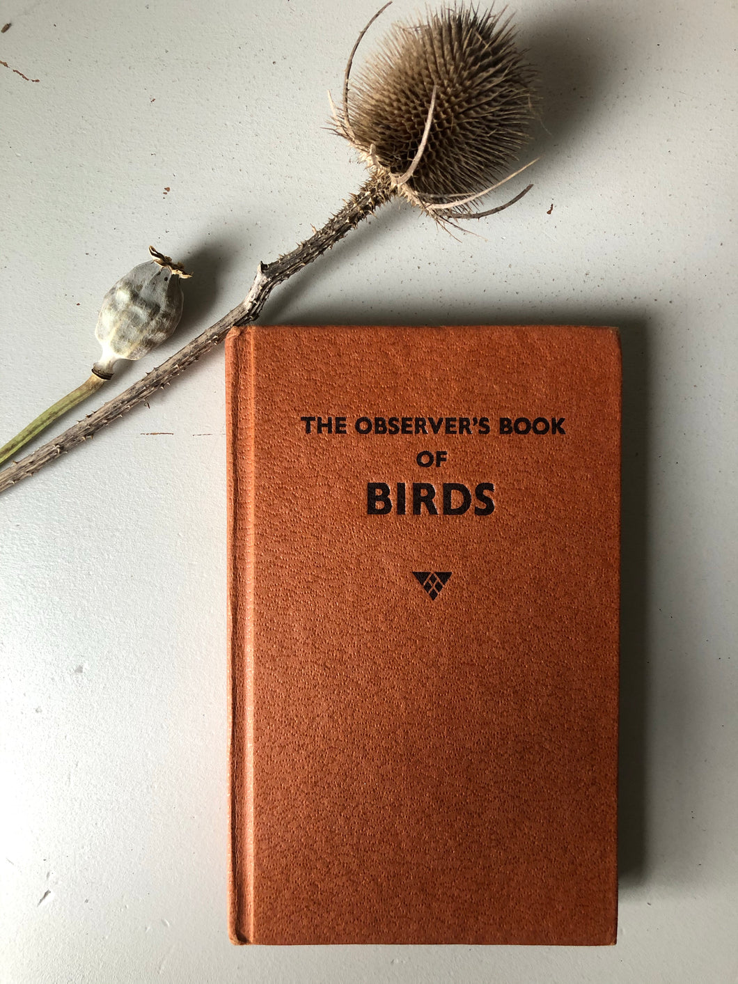 Observer Book of Birds