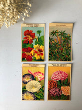 Load image into Gallery viewer, Set of Four Original French Flower Seed Labels, Nasturtium