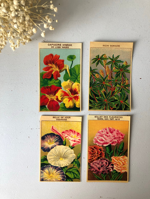 Set of Four Original French Flower Seed Labels, Nasturtium