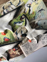 Load image into Gallery viewer, Vintage Graduating wall Seagulls