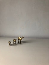 Load image into Gallery viewer, NEW - Set of 1930s Brass camels