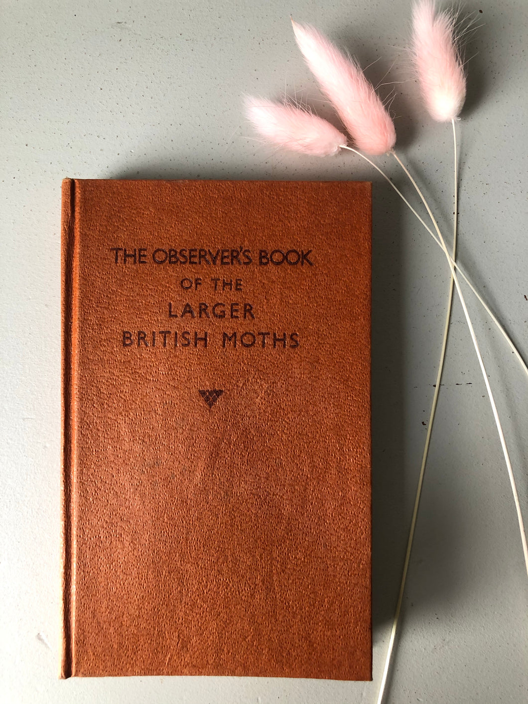 Observer book of Larger Moths