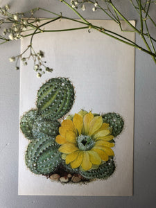 1950s Botanical Cacti Print, Yellow