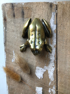 Antique Brass Frog Vesta