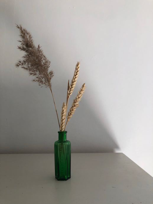 Antique ‘Not to be taken’ Medicine bottle