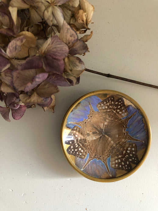 Vintage Butterfly Wing Trinket Dish
