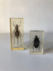 Vintage Beetle Resin Block