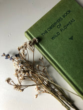 Load image into Gallery viewer, Observer Book of British Wild Flowers