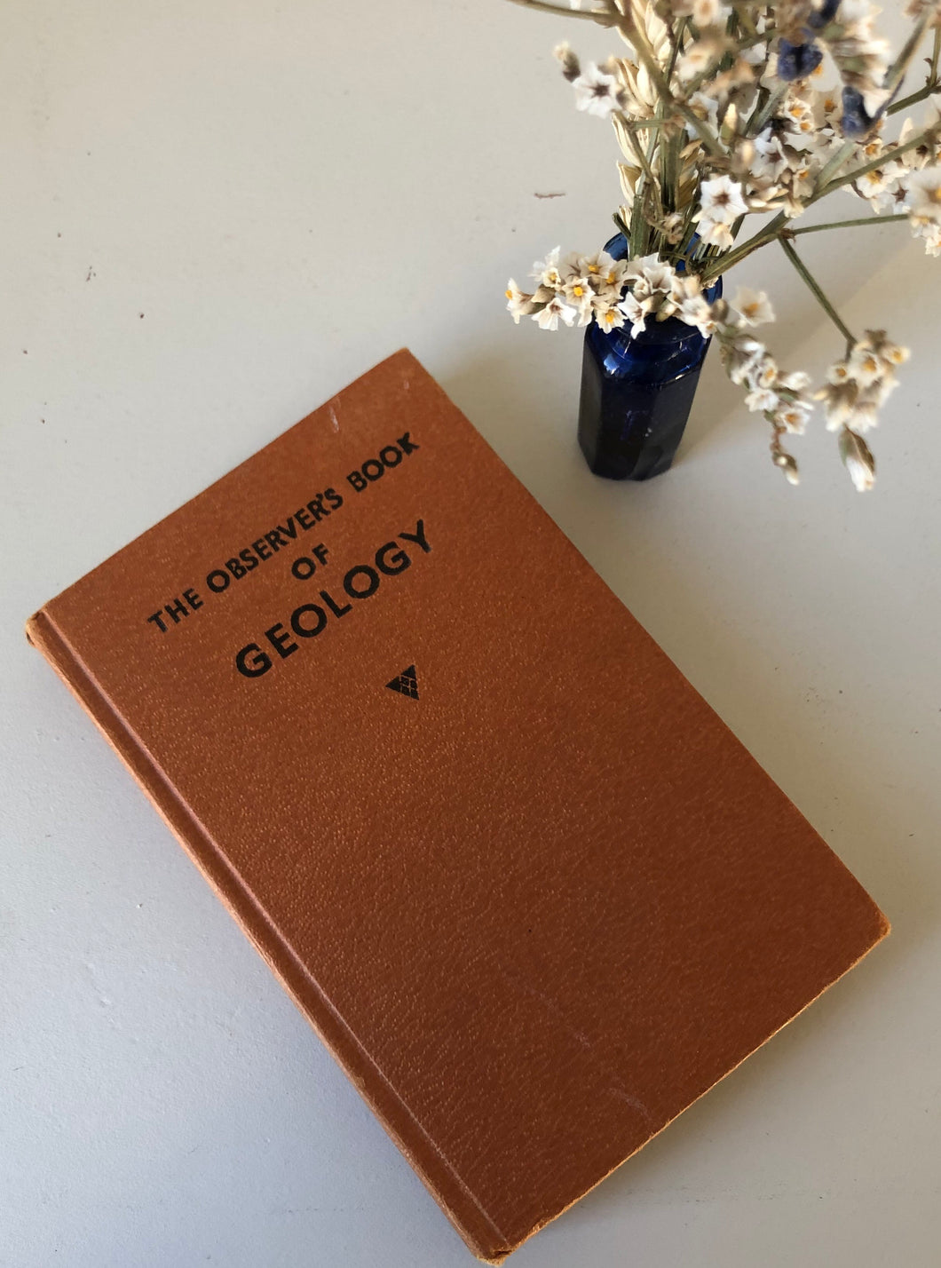 Observer Book of Geology